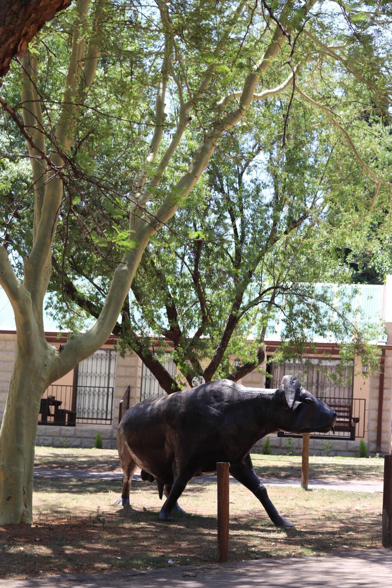 Khaya Africa Guesthouse Midrand Exterior foto