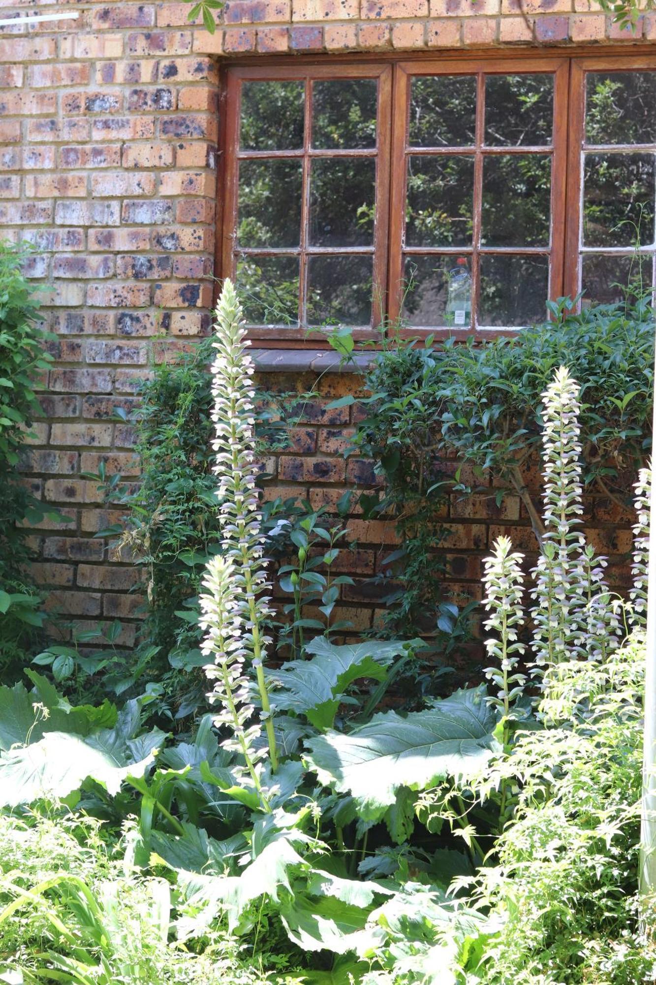 Khaya Africa Guesthouse Midrand Exterior foto